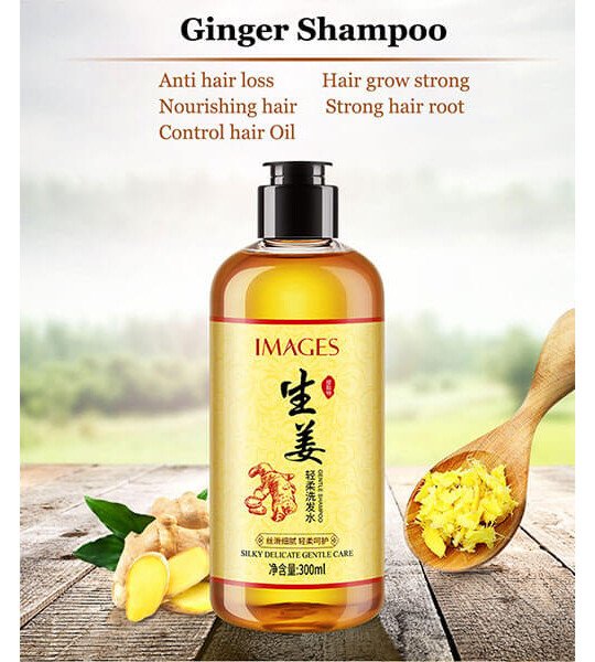 Anti-dandruff Ginger Shampoo Oil Control