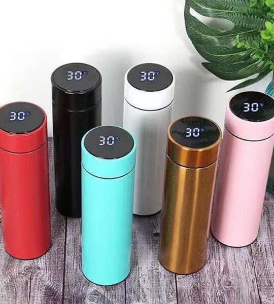 Temperature Sensor Water Bottle